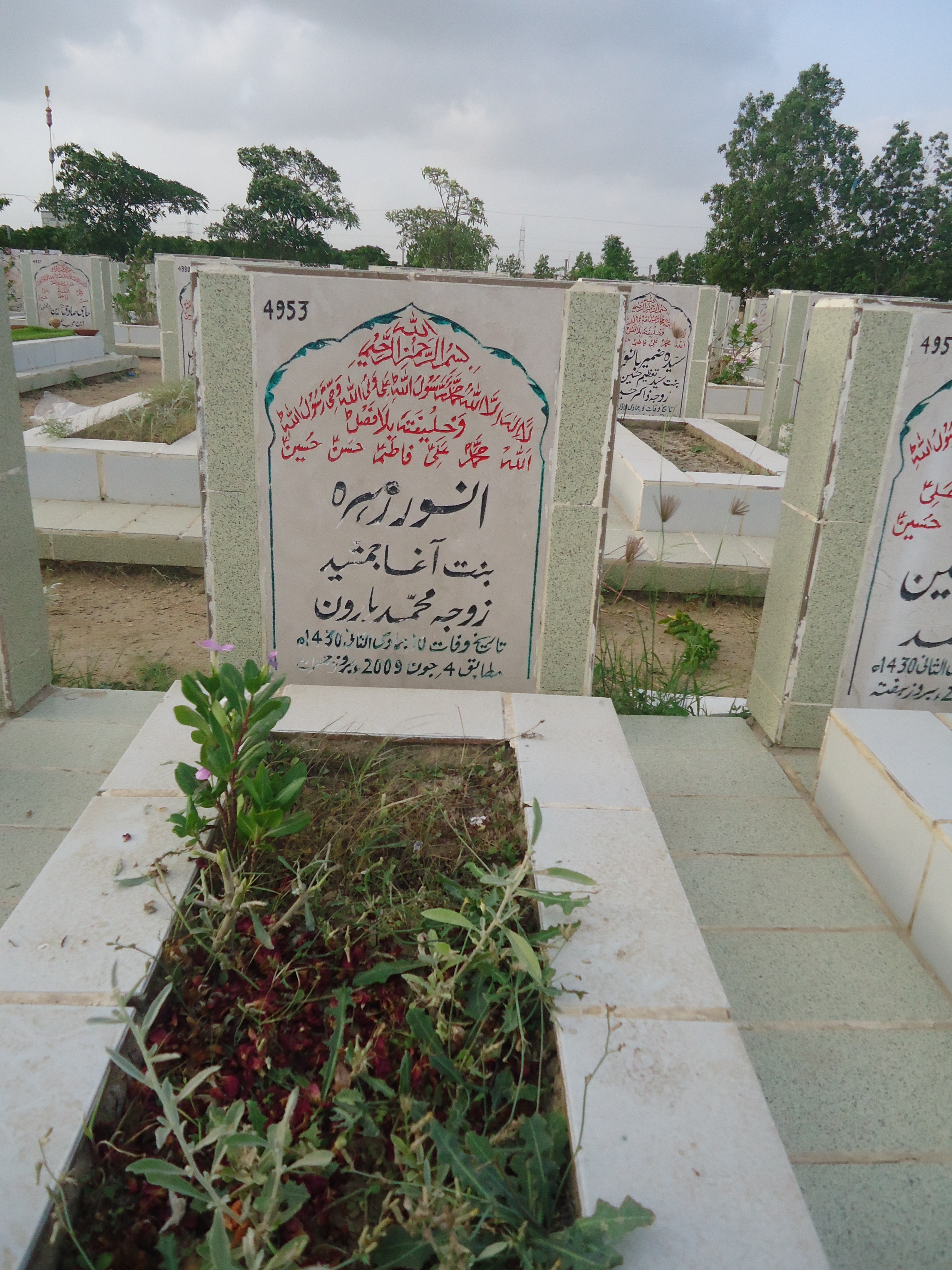 4953 – Anwar Zehra